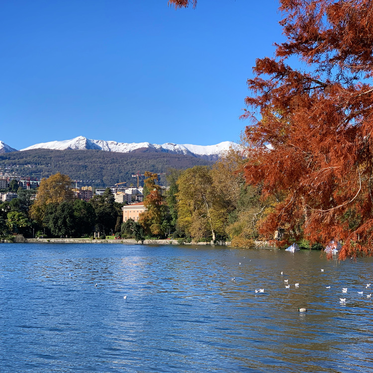 Foto de Lugano - Vista do Parque Ciani