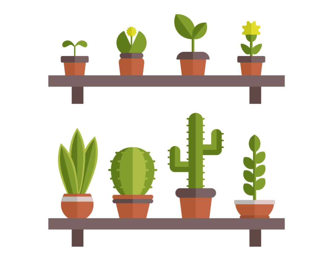 Realidade Aumentada para Interação com o Crescimento de Plantas